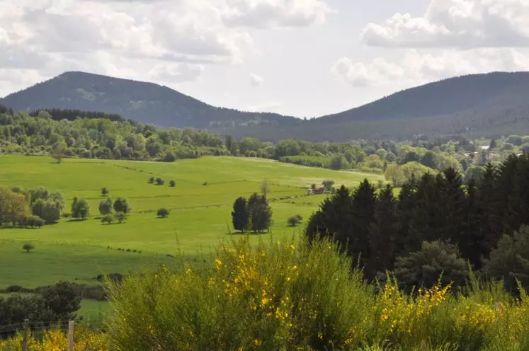 La marque Auvergne vient de lancer une enquête de notoriété auprès des habitants de l’Allier, du Cantal, de la Haute-Loire et du Puy-de-Dôme.