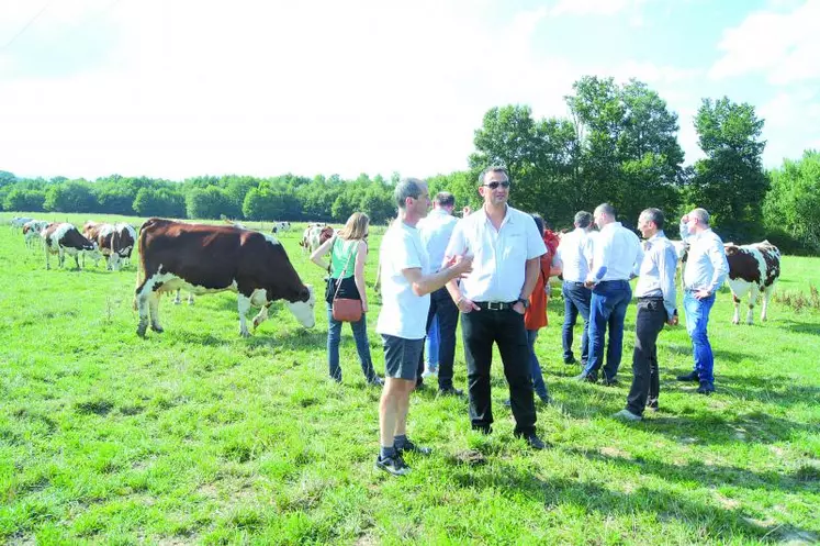 C’est sur le terrain, au plus près des vaches, que se sont rencontrés éleveurs et distributeurs de la marque Mont Lait.