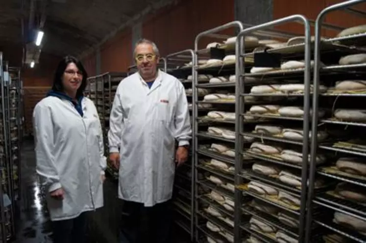 Les Terres d’Auvergne cogérées par Audrey Roche et Dominique Prugne, affinent entre 600 000 et 700 000 Saint-nectaire fermiers par an.