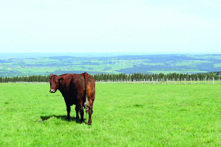 La pression foncière n'a de cesse de s'accroître dans le Puy-de-Dôme entre agriculture, loisirs, habitats et énergies renouvelables.