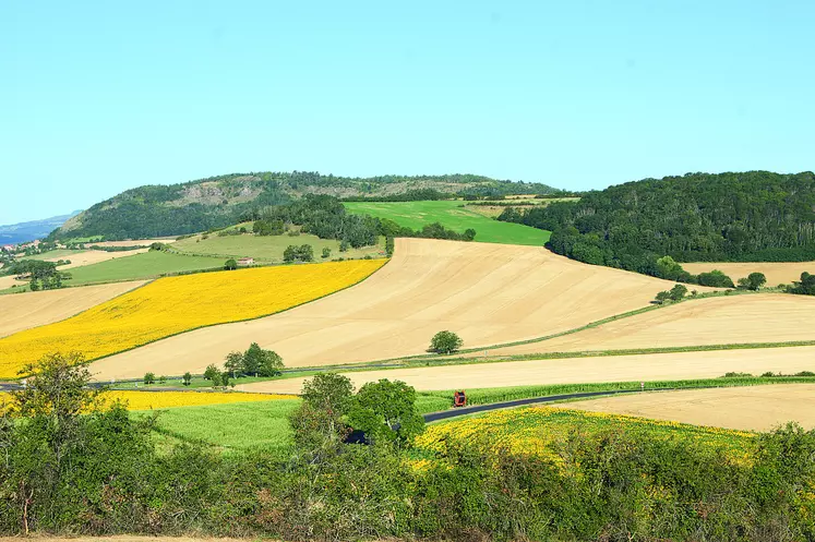 La nouvelle programmation FEADER 2023-2027 en Auvergne Rhône-Alpes met l'accent sur l'installation et les investissements agricoles.