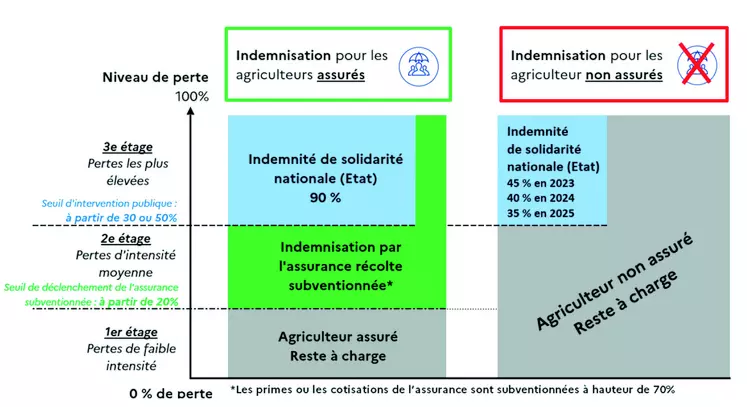 Schéma du dispositif réformé