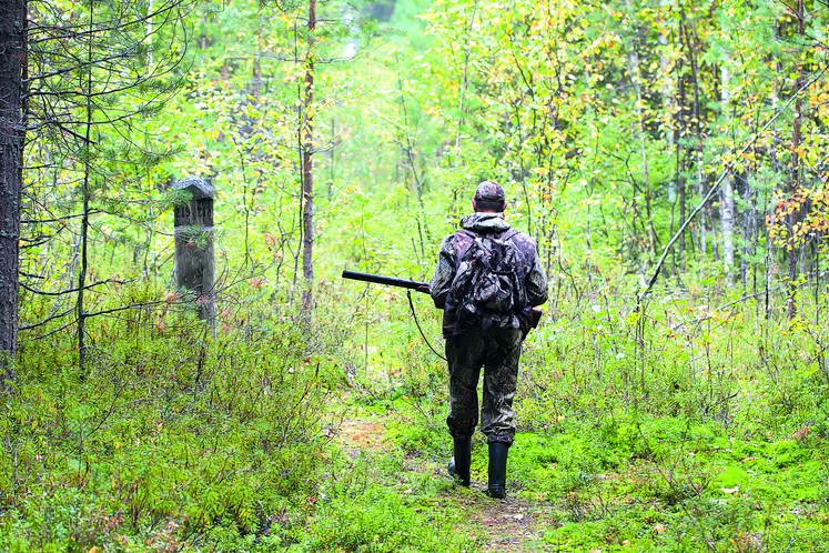 Un livre pour réussir l'examen de chasse 