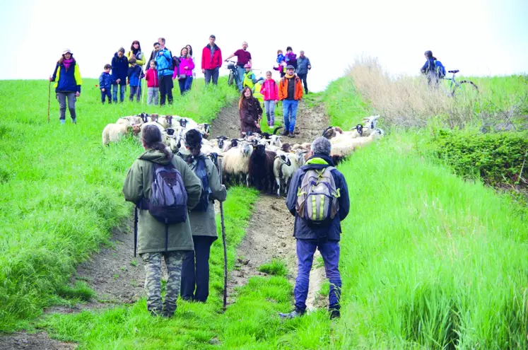 Une promenade de 8 km aux côtés des brebis était organisée pour sensibiliser le grand public aux intérêts du pastoralisme.