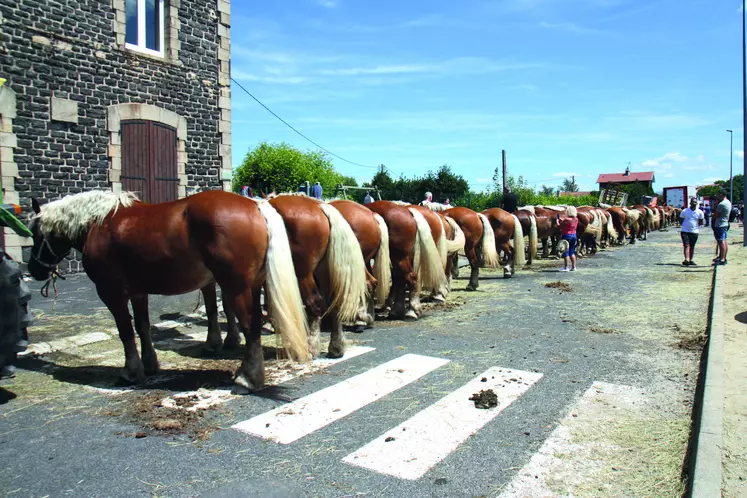 Le concours se tiendra autour de la salle polyvalente de Solignac sur Loire, de 9h à 17h, grâce à l’aide de la mairie de solignac et de Solignac Animations, le Conseil départemental, la communauté d’agglo du Puy, la Région, Groupama et Euréa.