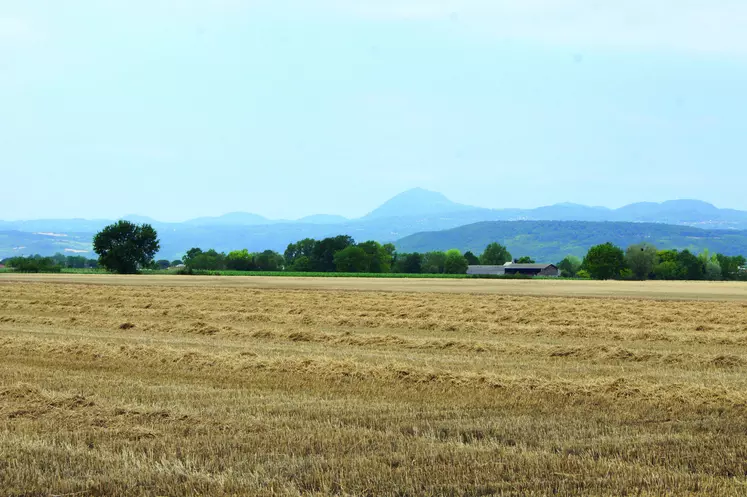 Les moissons ont débuté et offrent pour l'instant des rendements satisfaisant en orges et blé tandis que ceux du colza traduisent le manque d'eau hivernal. 