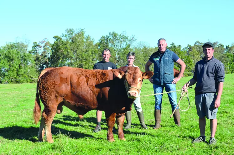 Le GIE Lauv'lim permet aux éleveurs d'Auvergne et de Lozère, de commercialiser leurs animaux et de progresser génétiquement, comme ici au Gaec Gidon. 