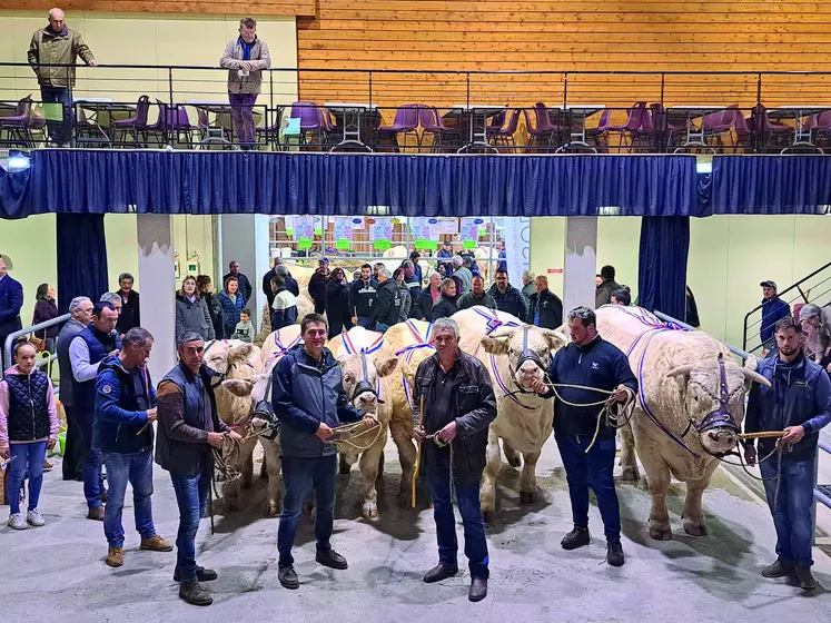 200 animaux issus de 30 élevages sont attendus dans la halle Cœur de Combrailles, le week-end des 4 et 5 novembre prochains.