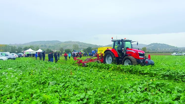 Tracteur équipé d'un semoir direct à dents en démonstration au milieu d'une parcelle en couvert végétal.