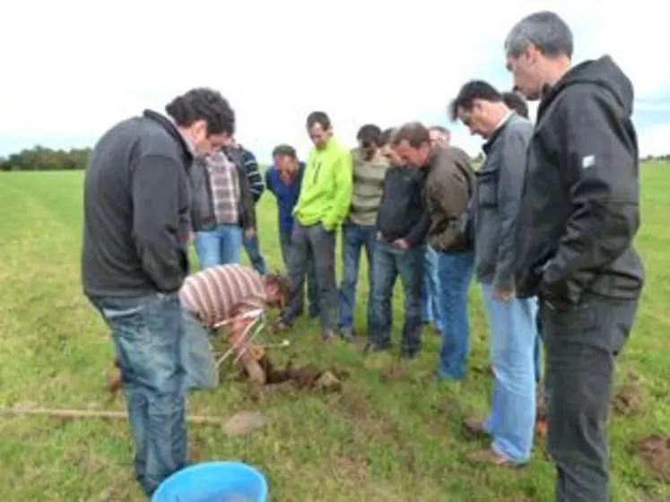 Une dizaine d’éleveurs des Hautes-Pyrénées ont rencontré des éleveurs puydômois au sujet de la lutte contre le campagnol terrestre.