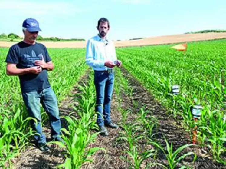 Yannick Chassaing (à gauche) et Michel Prévost (à droite) peuvent suivre, via une application mobile, les relevés en temps réels des sondes installées dans la parcelle accueillant le couvert végétal.