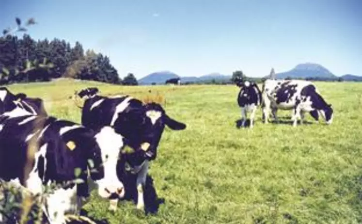 Les producteurs veulent bénéficier de l'image "montagne" pour leur production.