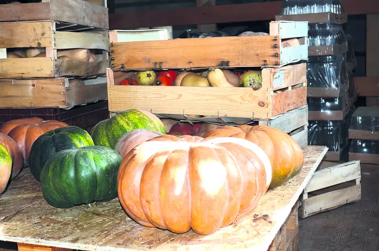 Caisses de légumes