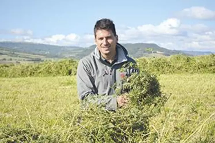 Alexandre Maffre est l'un des 20 céréaliers de Limagne a produire de la luzerne pour les producteurs de Saint-nectaire.