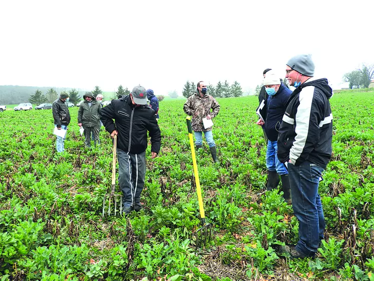 Le deuxième Vendredi de l'Agro de la Chambre d'agriculture avait pour thème la culture du colza associé sous couvert de légumineuses.