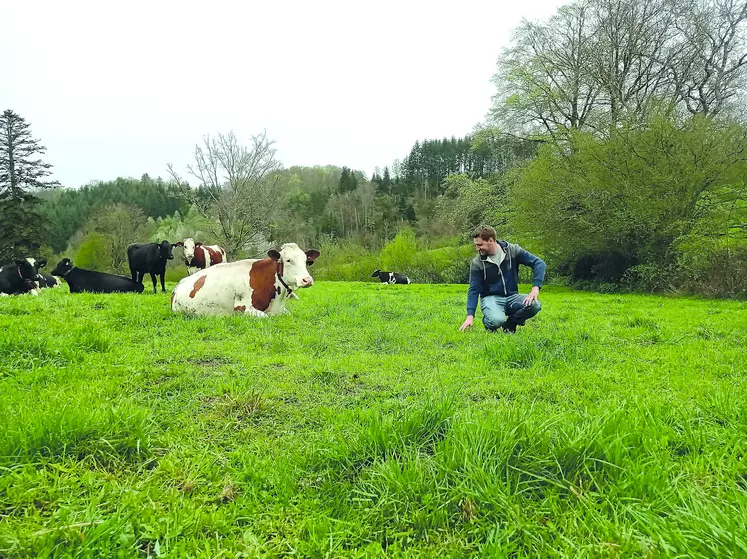 Alexandre Fonlupt a ouvert la pâture à sa quarantaine d'animaux le 25 mars dernier et espère les premières récoltes de l'herbe au plus tard le 10 mai.