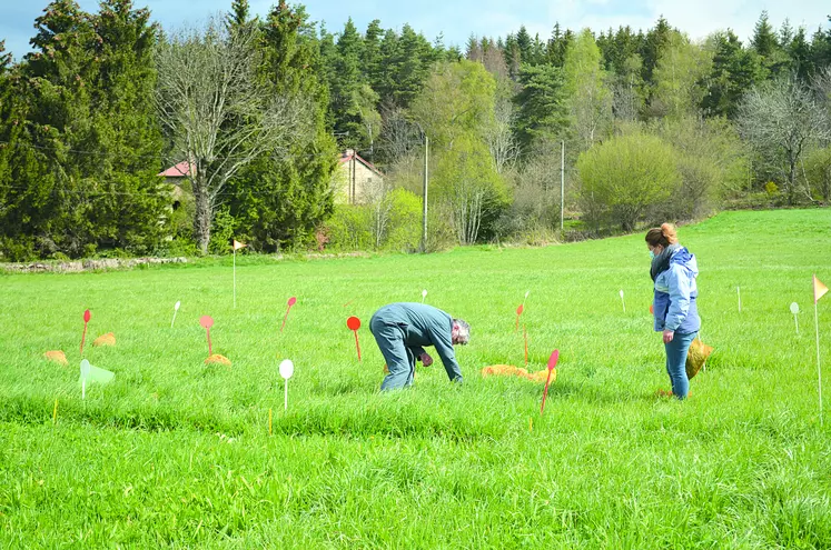 Les conseillers des Chambre d'agriculture du Puy-de-Dôme, de la Haute-Loire et de la Loire ainsi que l'EDE 63 ont réalisé les premières analyses des différentes expérimentations.