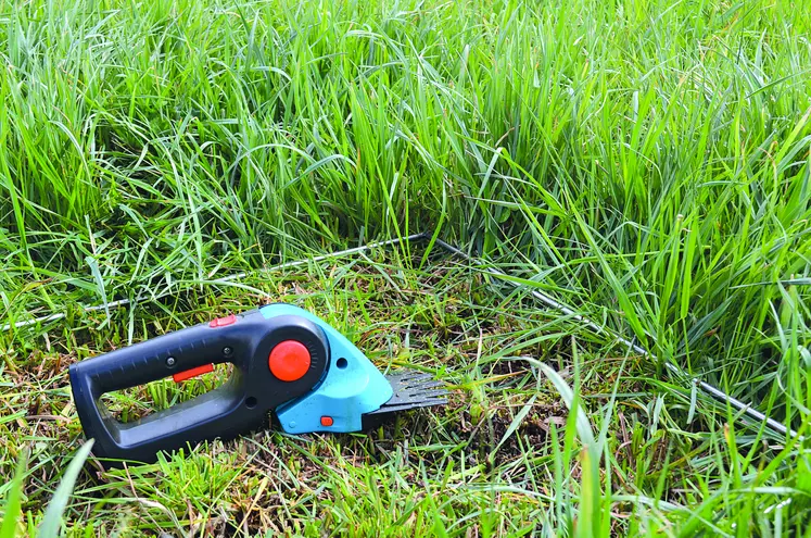 La plateforme «Herbe Richesse du Forez» à Saint-Just est dédiée à plusieurs essais dont les différents résultats et analyses seront présentés le 3 juin prochain