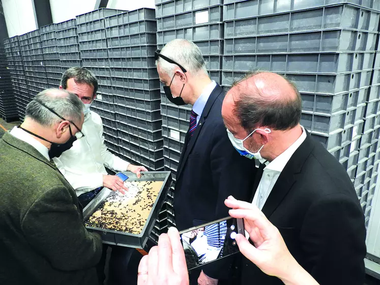 Sébastien Crespieux, président d'INVERS, expliquant l'élevage de vers de farine au Préfet Philippe Chopin (à gauche), Armand Sanséau, directeur de la DDT et Frédéric Bonnichon, conseiller régional d'Auvergne Rhône-Alpes