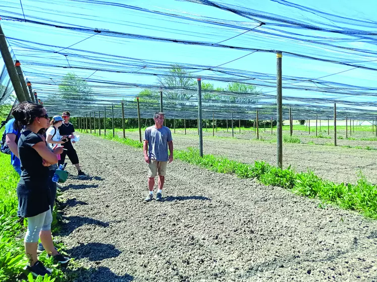 Le 31 mai dernier, Nathanaël Jacquart a accueilli sur son exploitation maraîchère plusieurs producteurs intéressés par la production de légumes en plein champ. 