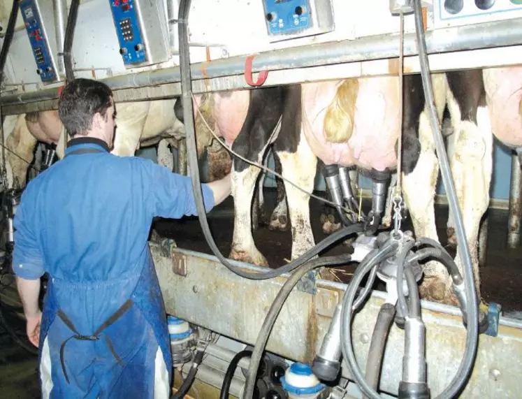 Dans le secteur animal, qui a subi globalement une baisse des prix, les exploitations laitières sont les plus affectées.