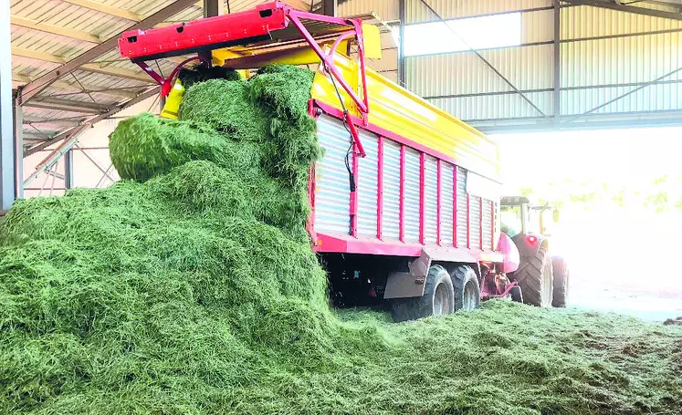 Camion versant de l'herbe.