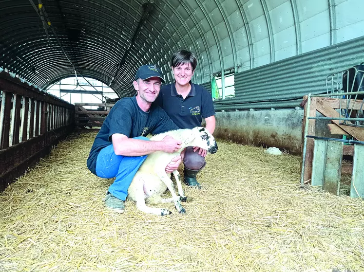 Stéphane Marret et Noélie Fafournoux ont monté ensemble leur propre troupe ovine après avoir repris une exploitation bovine à Vollore-Ville.