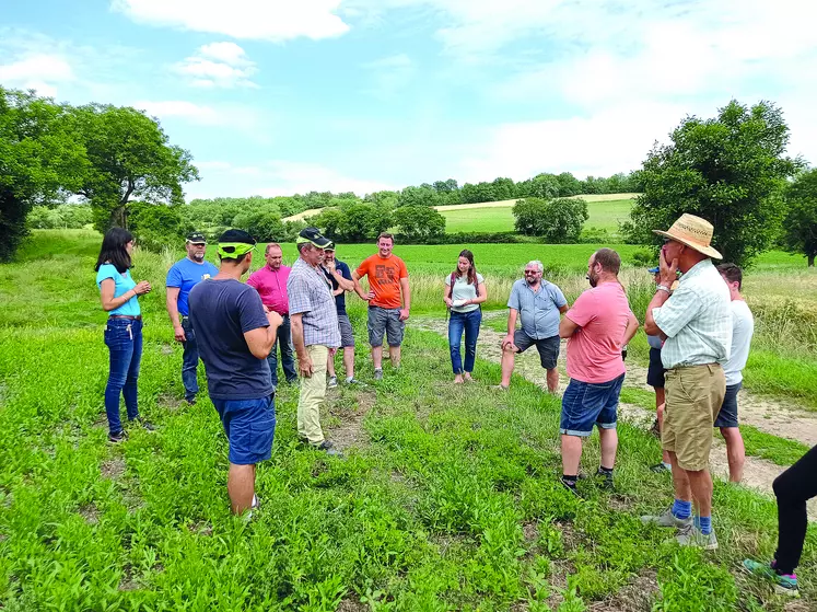 Autour de Jean-Michel Cellier-Courtil, les agriculteurs bio membres de quatre GIEE ont été invités à découvrir la diversité culturale de son exploitation.
