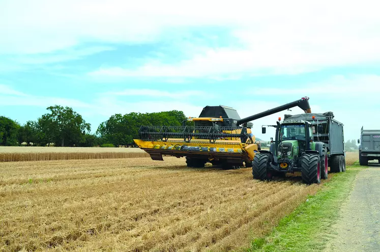 Quelques parcelles d'orge et de blé ont été moissonnées dimanche dernier avant d'être stoppées par le retour de la pluie.