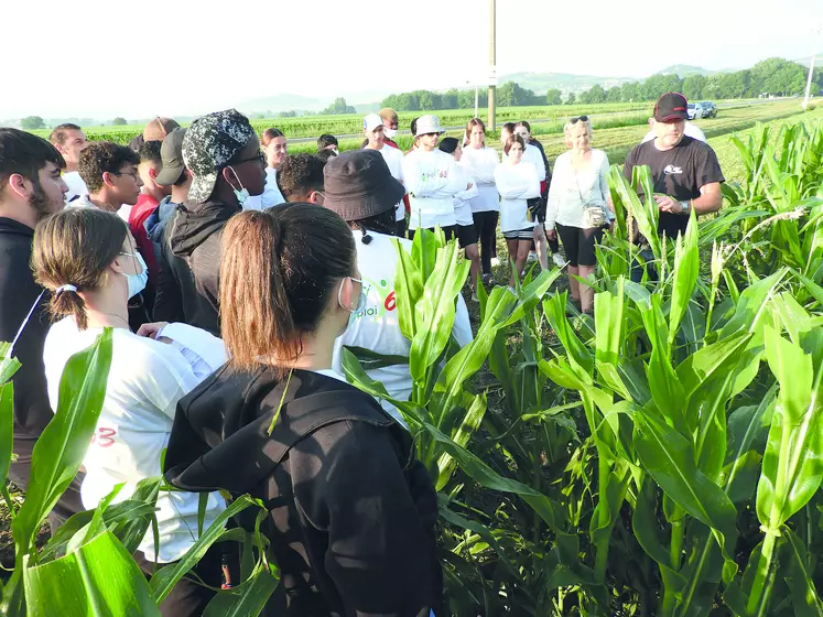 Avant le démarrage de la castration, Laurent et Pascale Favy donnent conseils et explications aux 46 jeunes présents pour ce premier jour de chantier à Beauregard l'Evêque.
