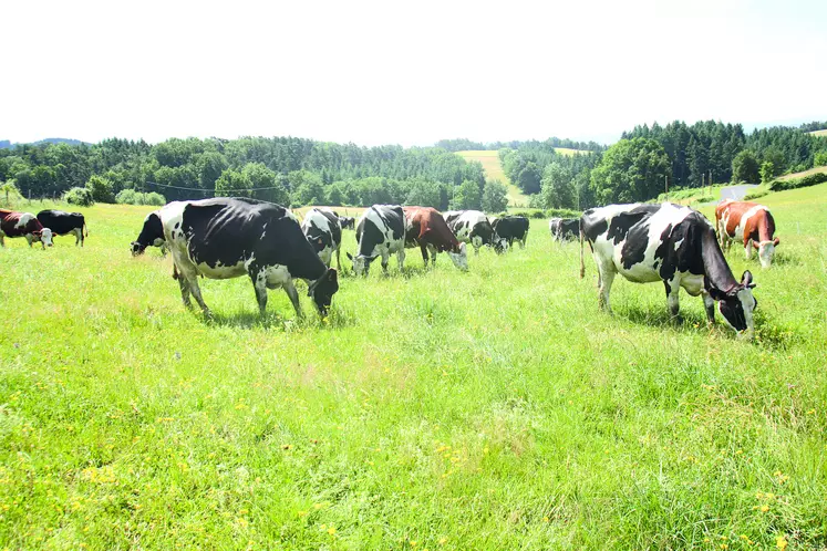 La filière lait de montagne hors AOP est en déprise... La mission d'informations liste les solutions pour la pérenniser.