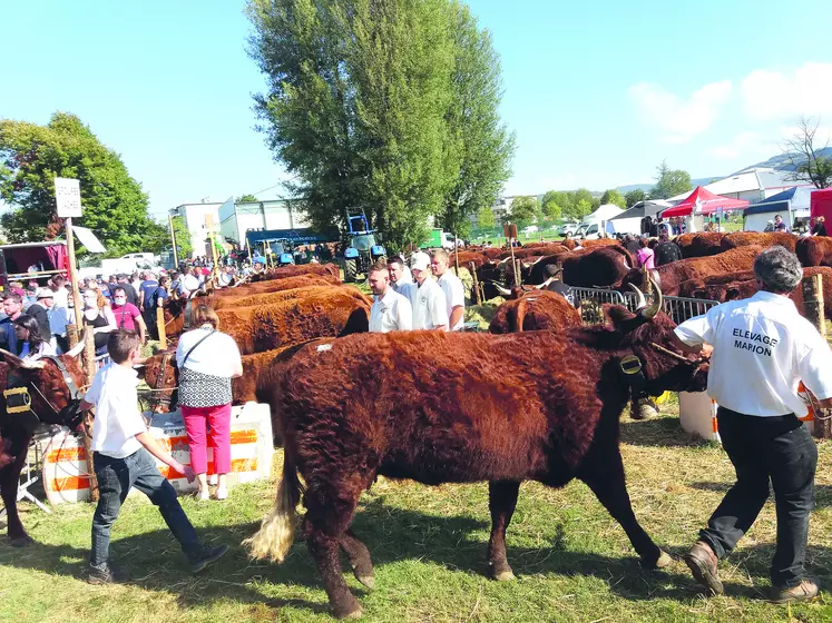 Plus de 7000 visiteurs ont arpenté les allées du concours interdépartemental salers qui s'est tenu le 28 août à Issoire.