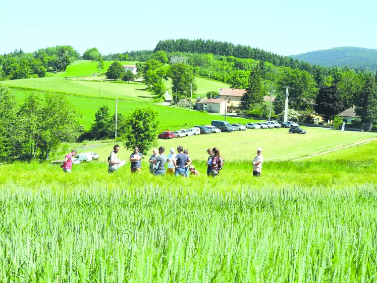 La plateforme ACM à Celles-sur-Durolle a accueilli tout au long de l'année au travers de différents rendez-vous, les agriculteurs des environs, avant d'être récoltée cet été. Ici la plateforme au mois de juin.