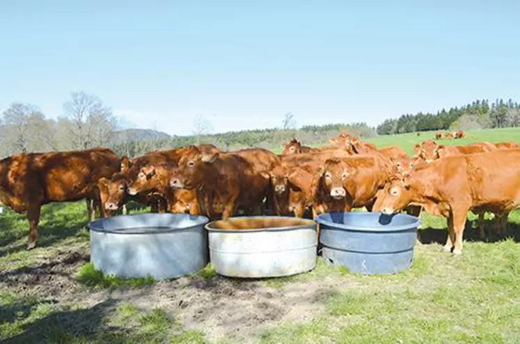 L’abreuvement des animaux au pré est un souci permanent mais bien moins considéré dans les bâtiments.