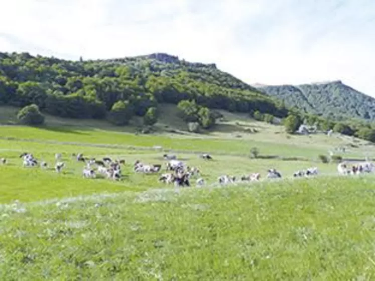 Rendez-vous jeudi 24 septembre dès 9 h 30 à l’INRAE de Laqueuille (Les Fumades), inscription au 04 73 65 92 69.