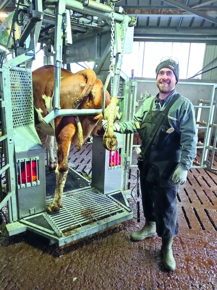 Frédéric Raoul, pareur et pédicure bovin prend soin des pieds des vaches que ce soit en préventif ou curatif.
