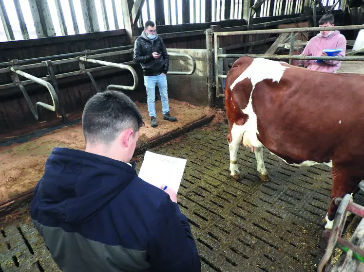 Les élèves des lycées agricoles du département ont participé à la finale départementale du concours de jugement des bovins le 7 décembre dernier.