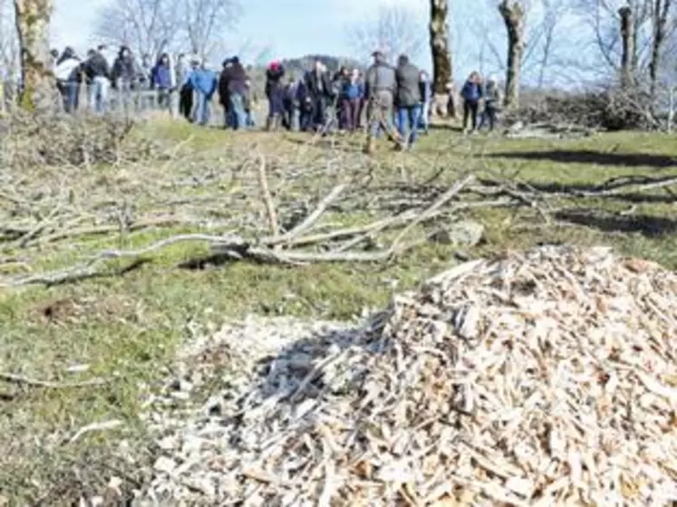 Le lycée expérimente la valorisation en plaquette litière du bois issu de l’entretien des haies de l’exploitation agricole.