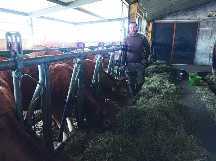 Au Gaec des Volcans à Aurières, Yoan Bony commercialise sa production en vente directe. 