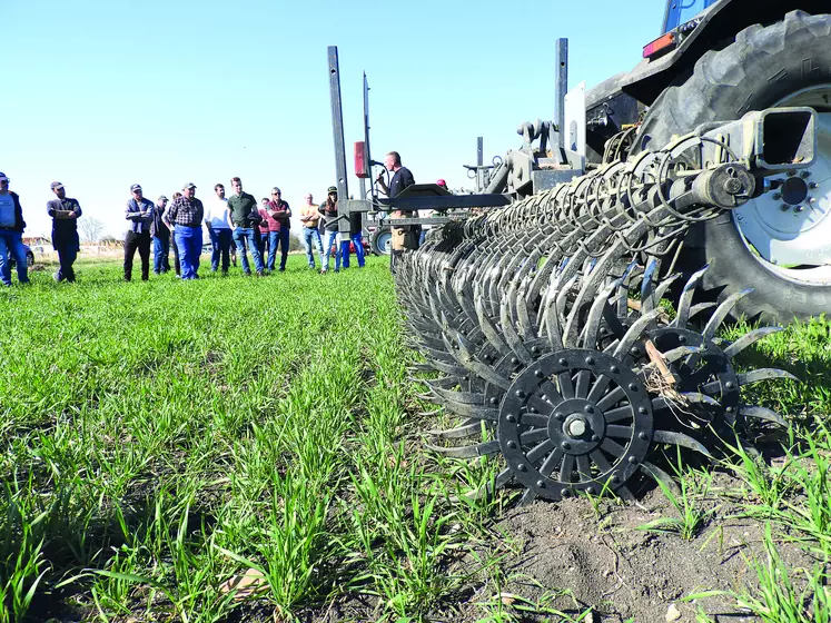 Le 24 mars dernier, la Chambre d'agriculture du Puy-de-Dôme et Bio 63 organisaient une après-midi autour du désherbage mécanique.