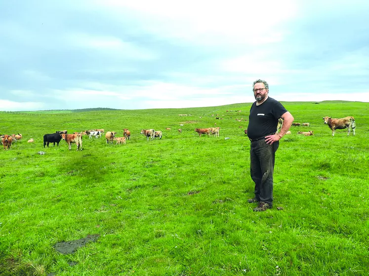 En l'espace de 24 heures, deux vaches de Patrick Boyer ont été dépecées par les vautours dont une où la mort de l'animal n'est pas certaine avant l'intervention des charognards.