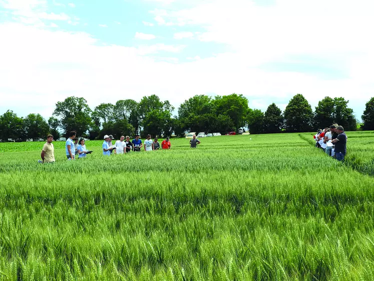 Lors de la visite de la plateforme d'Arvalis à Sardon, un point météo complet a été fait avant la présentation des 39 variétés à l'essai (Ndlr : événement tenu avant les orages des 3 et 4 juin).