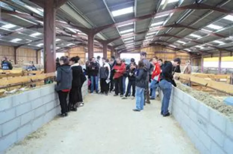 Visite de la bergerie récemment construite.