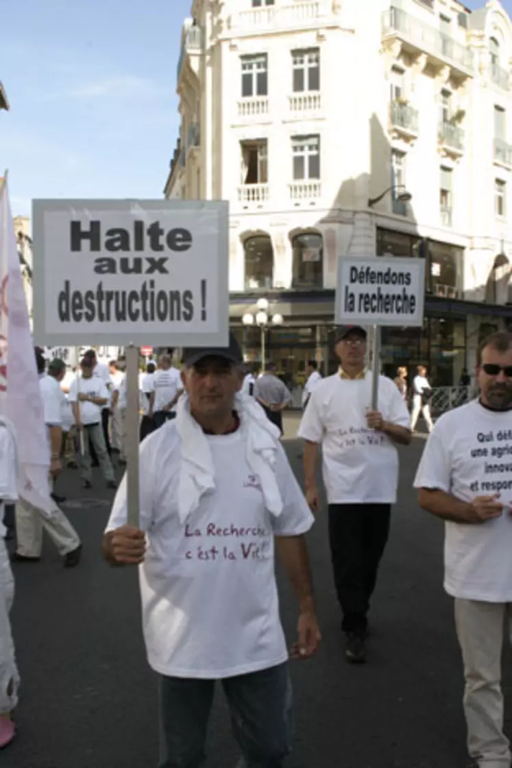 Il y avait longtemps que Pau n'avait pas vu un tel défilé d'agriculteurs dans ses rues. 2000 maïsculteurs venus d'Aquitaine, de Midi-Pyrénées, d'Anjou, d'Auvergne, d'Alsace et même d'Espagne, ont scandé leur ras-le-bol d'être lâchés, chaque été, à la vindicte médiatique.