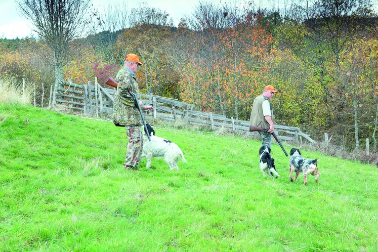 La région Auvergne-Rhône-Alpes compte, en tout, plus de 120 000 chasseurs et près de 2 500 associations locales de chasse.