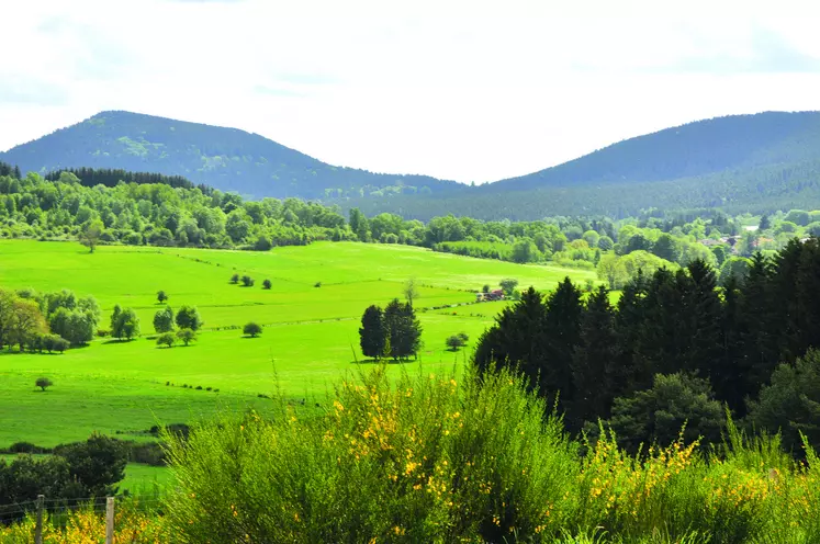 La marque Auvergne vient de lancer une enquête de notoriété auprès des habitants de l’Allier, du Cantal, de la Haute-Loire et du Puy-de-Dôme.