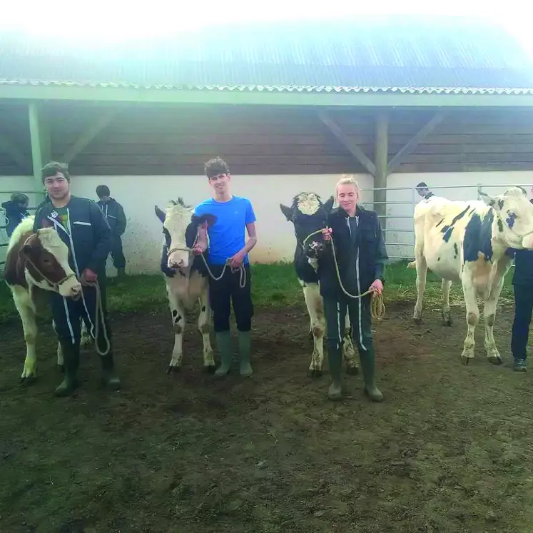 L'exploitation agricole du lycée de Rochefort-Montagne s'efforce de proposer aux élèves un panel d'activité correspondant au mieux à la vie professionnelle des fermes puydômoises.