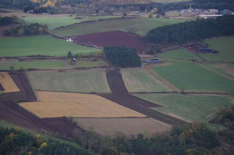 Foncier agricole