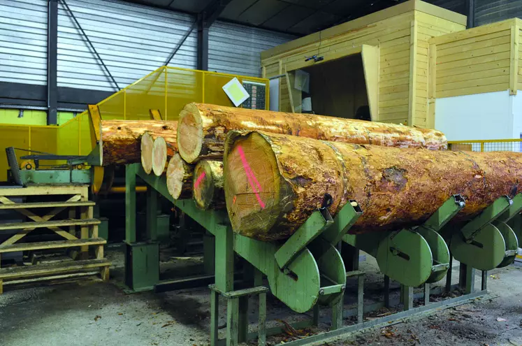 La production de bois est entrée à son tour dans la spirale des marchés mondiaux et de la spéculation mais sa nature indolente complexifie l'adaptation des différents acteurs.