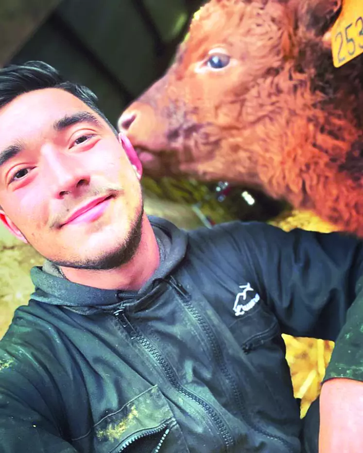 Louis Debard, futur éleveur de salers, partage son expérience sur Tiktok et Instagram.